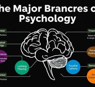 The Major Branches of Psychology Explained: Understanding the Mind and Behavior