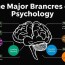 The Major Branches of Psychology Explained: Understanding the Mind and Behavior