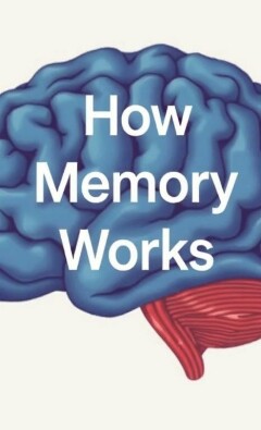 How Memory Works (And Why It Fails): Unlocking the Secrets of Our Mind’s Most Mysterious Function