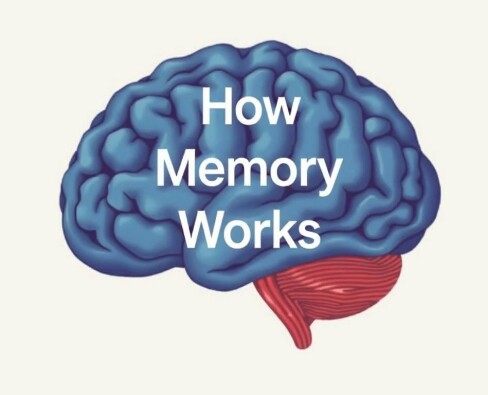 How Memory Works (And Why It Fails): Unlocking the Secrets of Our Mind’s Most Mysterious Function
