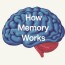 How Memory Works (And Why It Fails): Unlocking the Secrets of Our Mind’s Most Mysterious Function