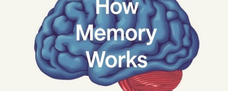 How Memory Works (And Why It Fails): Unlocking the Secrets of Our Mind’s Most Mysterious Function