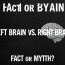 Left Brain vs. Right Brain: Fact or Myth?