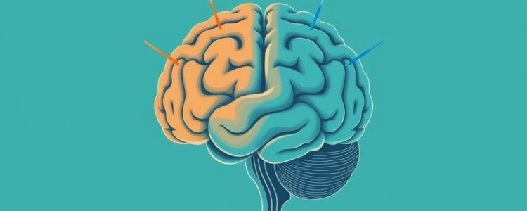 How Trauma Changes the Brain: Exploring the Lasting Impact on Mind and Body
