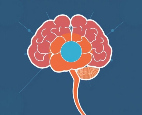 What Is Psychology and Why Does It Matter? A Deep Dive Into the Science of Mind and Behavior
