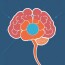 What Is Psychology and Why Does It Matter? A Deep Dive Into the Science of Mind and Behavior