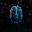 How Neurotransmitters Control Mood: Unlocking the Chemistry of Our Emotions