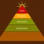 Maslow’s Hierarchy of Needs: Una base humana para entender la motivación