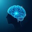 L’effet de la méditation pleine conscience (mindfulness) sur le cerveau — Wie Achtsamkeit unser Denken, Fühlen und Gehirn neu gestalten kann