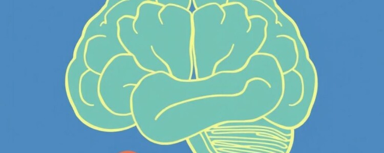 How the Brain Influences Behavior: Unlocking the Secrets of Our Mind