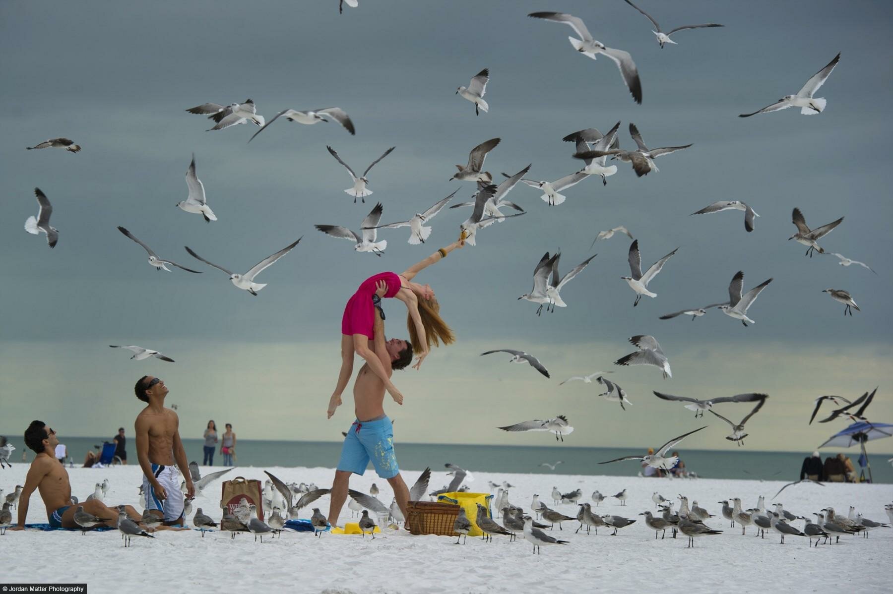 Среди птиц. Чайки и люди. Дети Чайки. Фотосессия с чайками. Фотосессия с чайками на море.