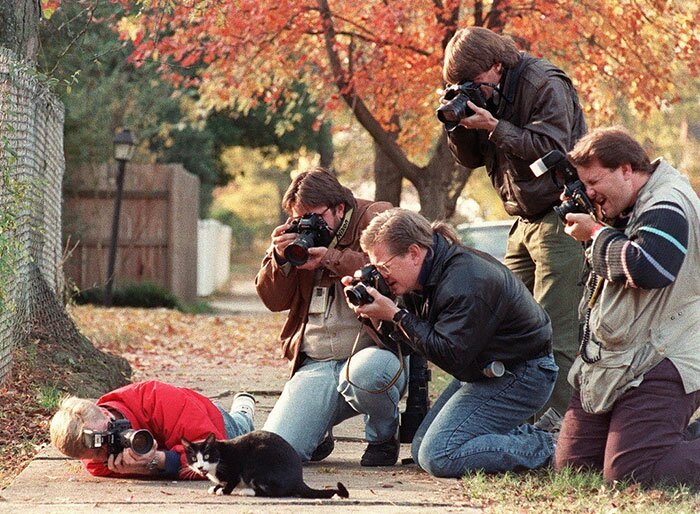 40 фотографов, идущих на всё, ради хорошего кадра