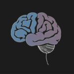 Cognitive Biases That Control Your Thinking: Unlocking the Hidden Patterns of Your Mind