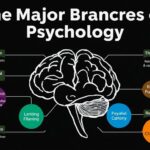 The Major Branches of Psychology Explained: Understanding the Mind and Behavior