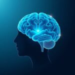 L'effet de la méditation pleine conscience (mindfulness) sur le cerveau — Wie Achtsamkeit unser Denken, Fühlen und Gehirn neu gestalten kann