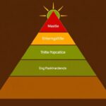 Maslow’s Hierarchy of Needs: Una base humana para entender la motivación